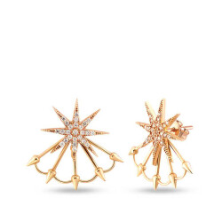 Gold Star Trend Earrings - 1